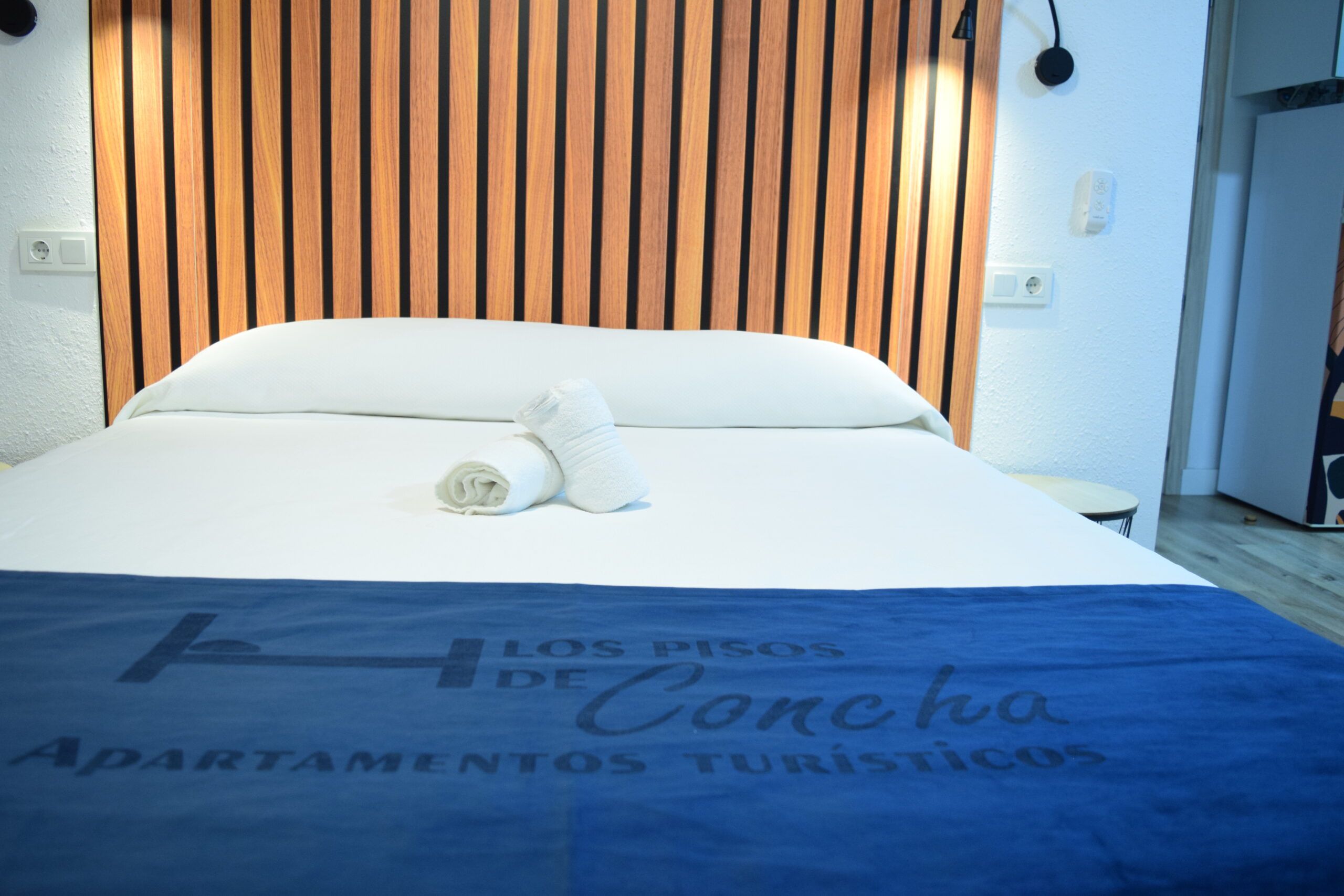 Los pisos de Concha Apartamentos turísticos